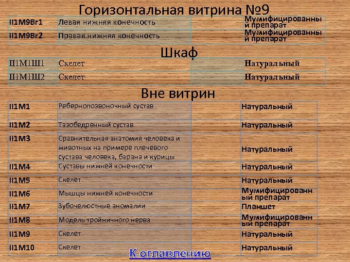 Горизонтальная витрина № 9 Мумифицированны II 1 М 9 Вг 1 Левая нижняя конечность