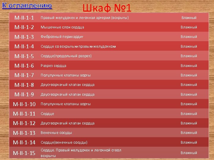 К оглавлению Шкаф № 1 M-II-1 -1 Правый желудочек и легочная артерия (вскрыты) Влажный