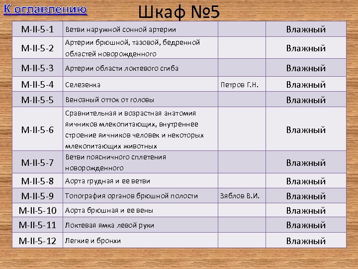 К оглавлению Шкаф № 5 M-II-5 -1 Ветви наружной сонной артерии Влажный M-II-5 -2