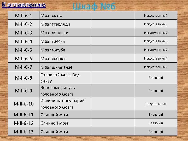 К оглавлению Шкаф № 6 M-II-6 -1 Мозг ската Искусственный M-II-6 -2 Мозг стерляди