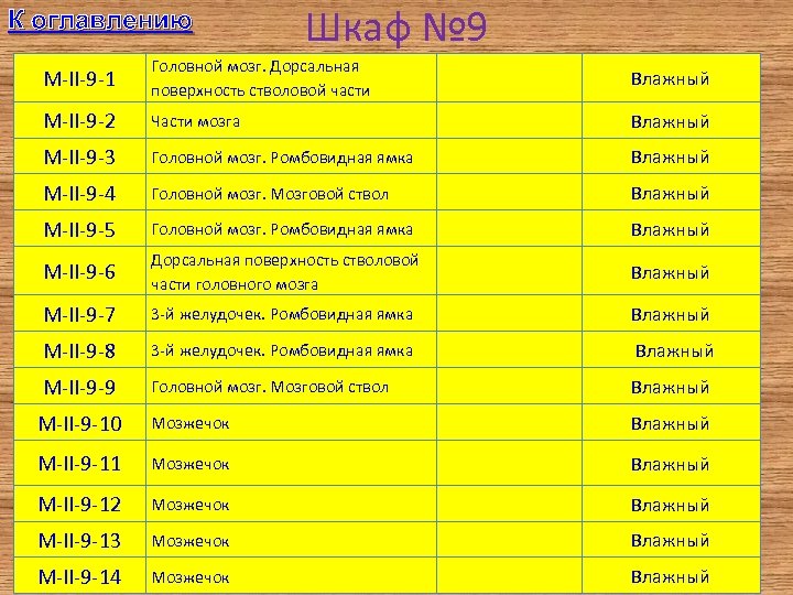 К оглавлению Шкаф № 9 M-II-9 -1 Головной мозг. Дорсальная поверхность стволовой части Влажный