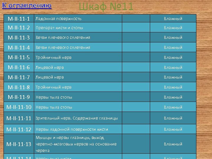 К оглавлению Шкаф № 11 M-II-11 -1 Ладонная поверхность Влажный M-II-11 -2 Препарат кисти