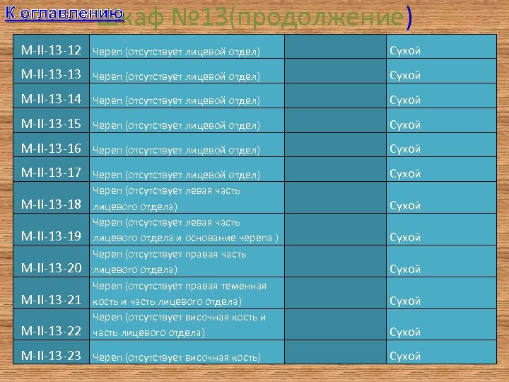 Шкаф № 13(продолжение) К оглавлению M-II-13 -12 Череп (отсутствует лицевой отдел) Сухой M-II-13 -13