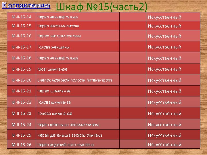 К оглавлению Шкаф № 15(часть2) M-II-15 -14 Череп неандертальца Искусственный M-II-15 -15 Череп австралопитека