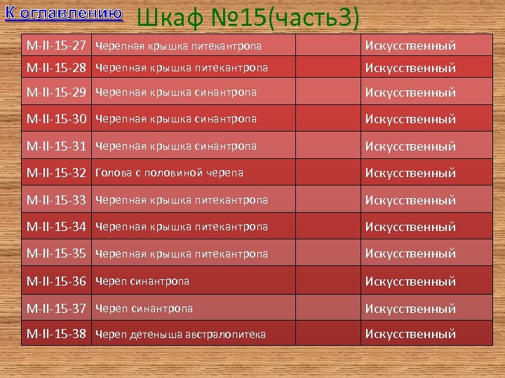 К оглавлению Шкаф № 15(часть3) M-II-15 -27 Черепная крышка питекантропа Искусственный M-II-15 -28 Черепная