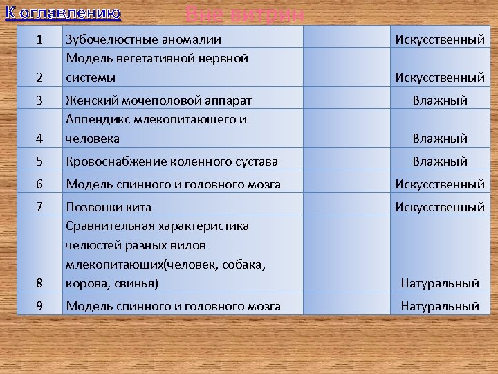 К оглавлению 1 Вне витрин Зубочелюстные аномалии Модель вегетативной нервной системы Искусственный Влажный 4