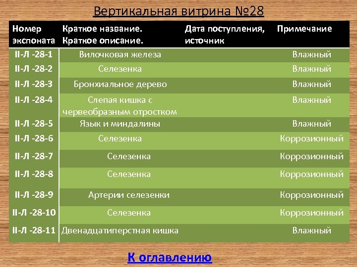 Вертикальная витрина № 28 Номер Краткое название. экспоната Краткое описание. II-Л -28 -1 Вилочковая