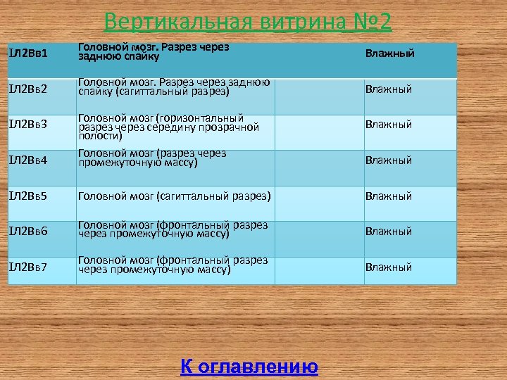 Вертикальная витрина № 2 Л 2 Вв 1 Головной мозг. Разрез через заднюю спайку
