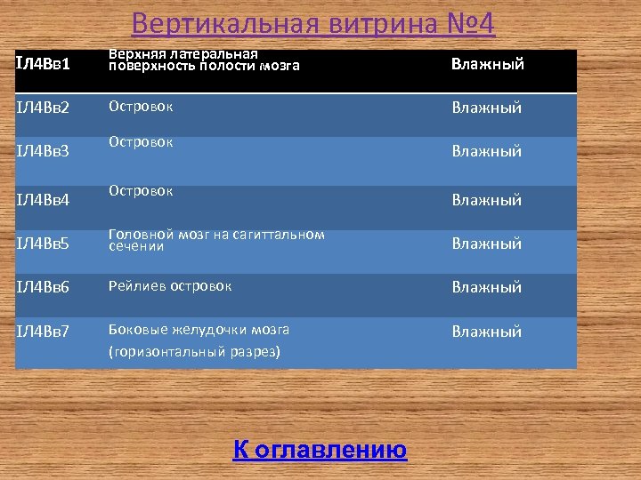 Вертикальная витрина № 4 Л 4 Вв 1 Верхняя латеральная поверхность полости мозга Влажный