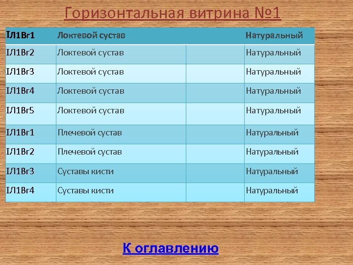 Горизонтальная витрина № 1 Л 1 Вг 1 Локтевой сустав Натуральный Л 1 Вг