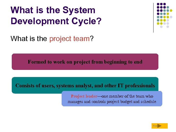 What is the System Development Cycle? What is the project team? Formed to work