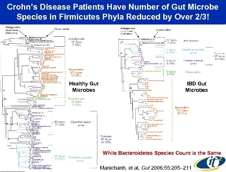 Crohn’s Disease Patients Have Number of Gut Microbe Species in Firmicutes Phyla Reduced by