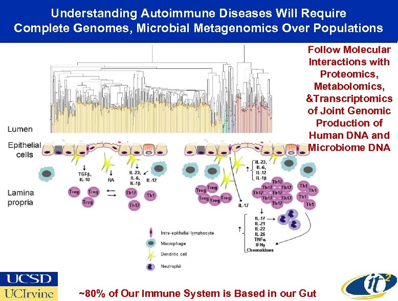 Understanding Autoimmune Diseases Will Require Complete Genomes, Microbial Metagenomics Over Populations Follow Molecular Interactions