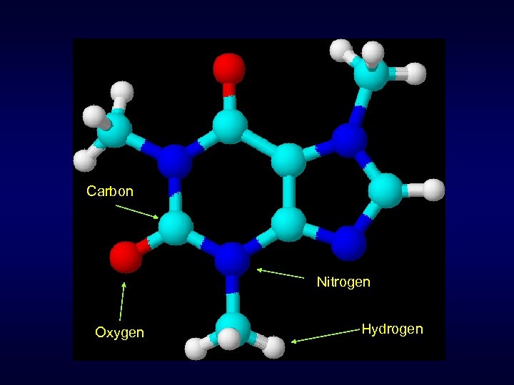 Carbon Nitrogen Oxygen Hydrogen 