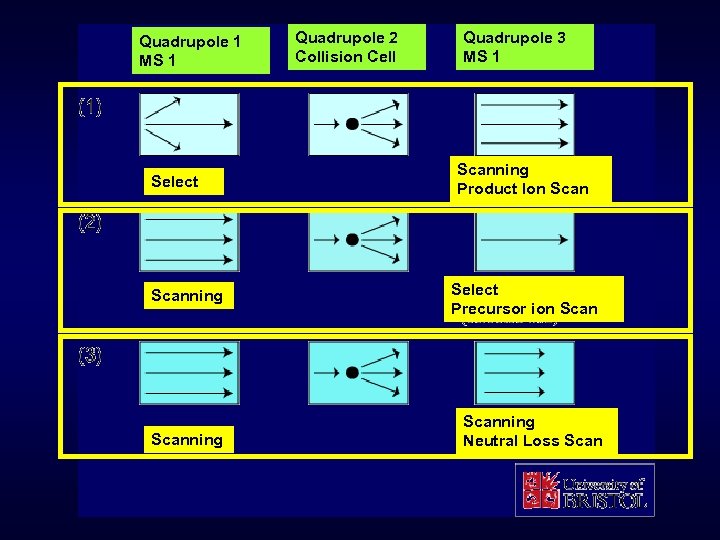 Quadrupole 1 MS 1 Select Scanning Quadrupole 2 Collision Cell Quadrupole 3 MS 1