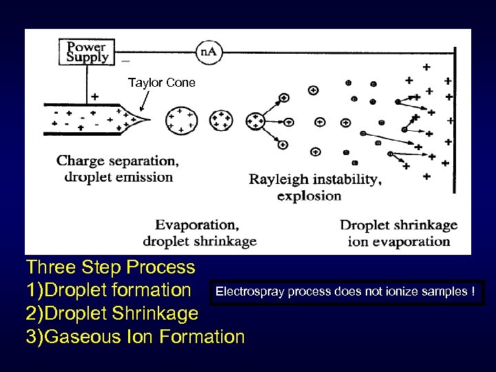 Taylor Cone Three Step Process 1) Droplet formation Electrospray process does not ionize samples