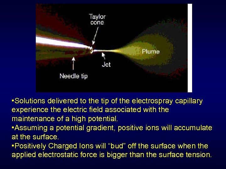  • Solutions delivered to the tip of the electrospray capillary experience the electric
