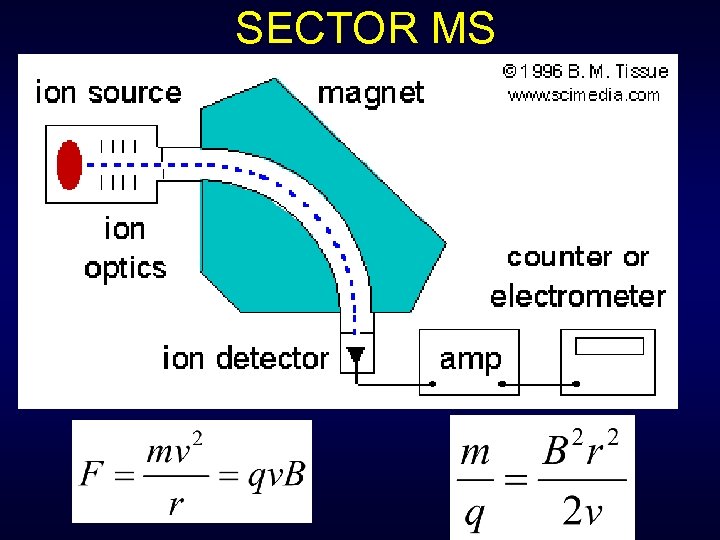 SECTOR MS 