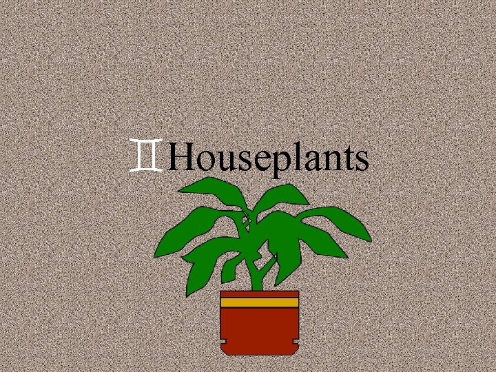 `Houseplants 