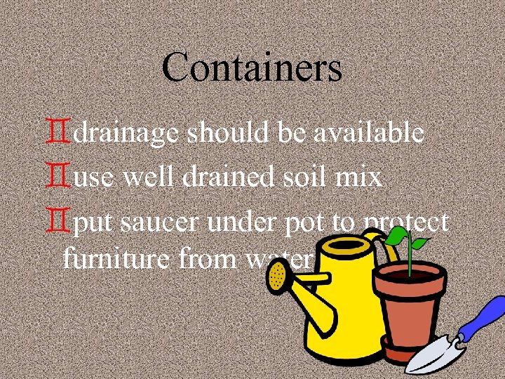 Containers `drainage should be available `use well drained soil mix `put saucer under pot