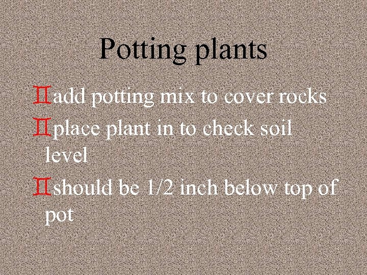 Potting plants `add potting mix to cover rocks `place plant in to check soil