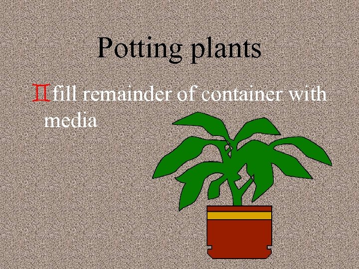 Potting plants `fill remainder of container with media 