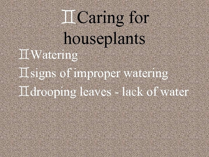 `Caring for houseplants `Watering `signs of improper watering `drooping leaves - lack of water