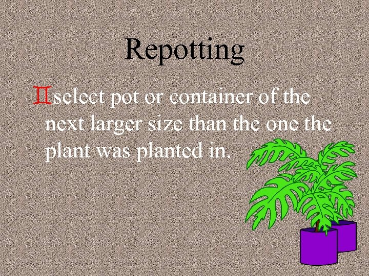 Repotting `select pot or container of the next larger size than the one the
