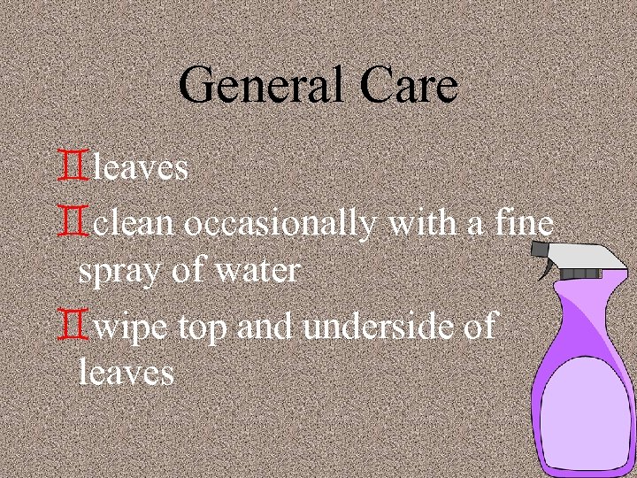 General Care `leaves `clean occasionally with a fine spray of water `wipe top and