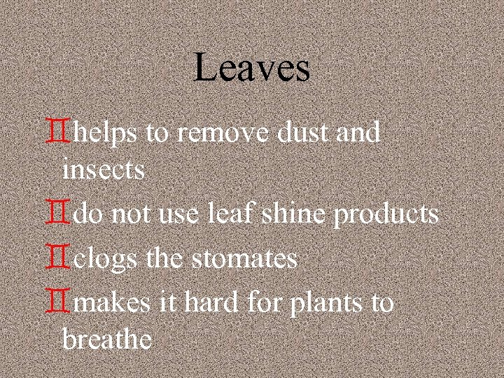 Leaves `helps to remove dust and insects `do not use leaf shine products `clogs