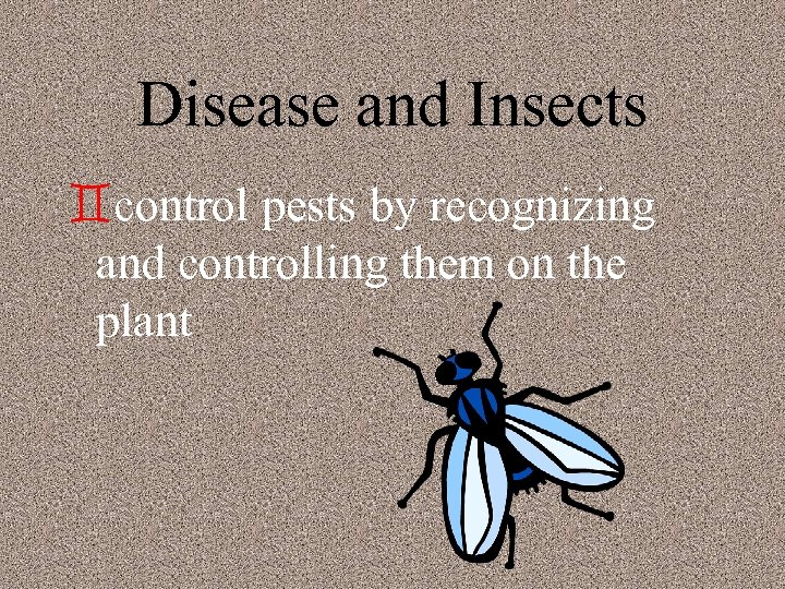 Disease and Insects `control pests by recognizing and controlling them on the plant 