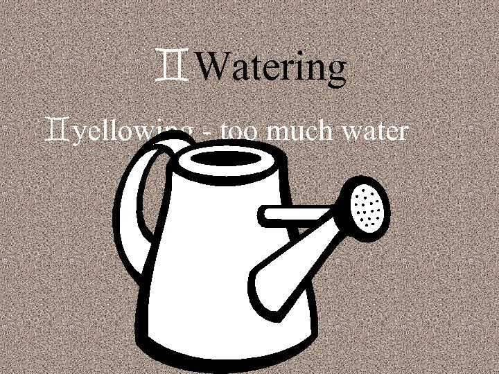 `Watering `yellowing - too much water 