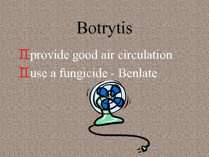 Botrytis `provide good air circulation `use a fungicide - Benlate 
