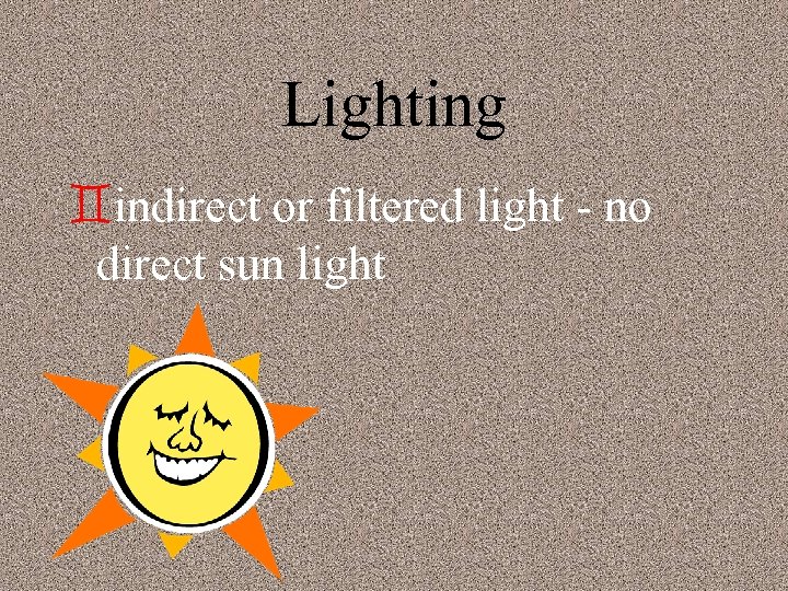 Lighting `indirect or filtered light - no direct sun light 