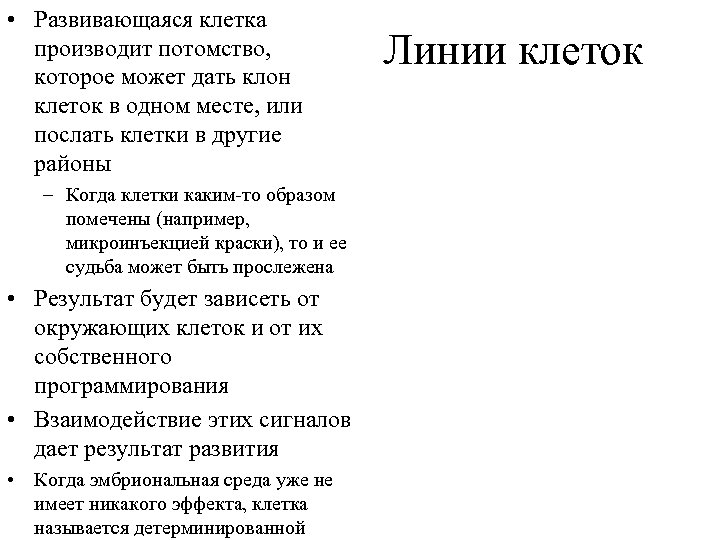  • Развивающаяся клетка производит потомство, которое может дать клон клеток в одном месте,