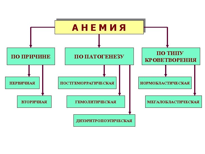 АНЕМИЯ ПО ПРИЧИНЕ ПЕРВИЧНАЯ ВТОРИЧНАЯ ПО ПАТОГЕНЕЗУ ПОСТГЕМОРРАГИЧЕСКАЯ ГЕМОЛИТИЧЕСКАЯ ДИЗЭРИТРОПОЭТИЧЕСКАЯ ПО ТИПУ КРОВЕТВОРЕНИЯ НОРМОБЛАСТИЧЕСКАЯ