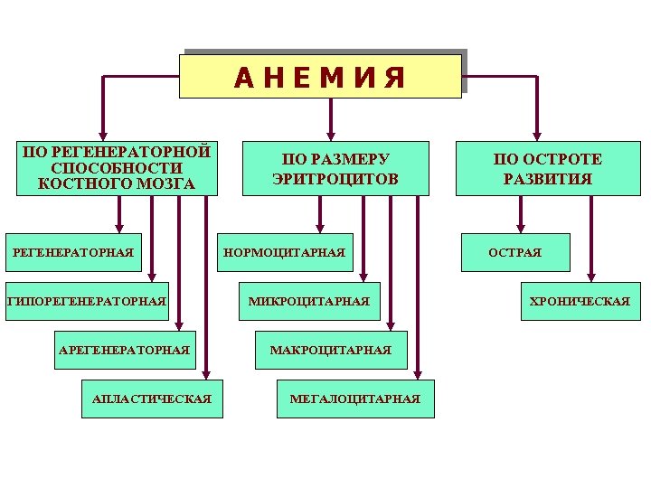 АНЕМИЯ ПО РЕГЕНЕРАТОРНОЙ СПОСОБНОСТИ КОСТНОГО МОЗГА РЕГЕНЕРАТОРНАЯ ГИПОРЕГЕНЕРАТОРНАЯ АПЛАСТИЧЕСКАЯ ПО РАЗМЕРУ ЭРИТРОЦИТОВ НОРМОЦИТАРНАЯ МИКРОЦИТАРНАЯ