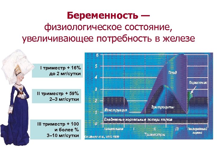 Беременность — физиологическое состояние, увеличивающее потребность в железе I триместр + 16% до 2