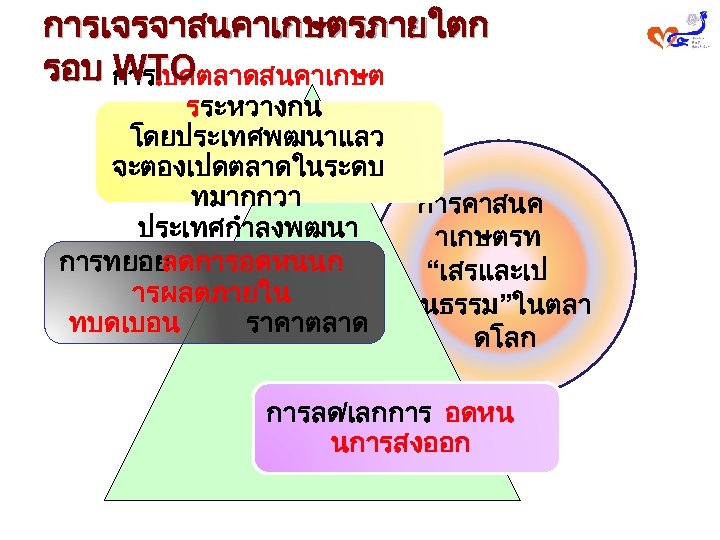 การเจรจาสนคาเกษตรภายใตก รอบ การเปดตลาดสนคาเกษต WTO รระหวางกน โดยประเทศพฒนาแลว จะตองเปดตลาดในระดบ ทมากกวา การคาสนค ประเทศกำลงพฒนา าเกษตรท การทยอย ลดการอดหนนก “เสรและเป