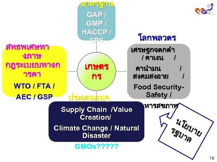 มาตรฐาน สทธพเศษทา งภาษ กฎระเบยบทางก ารคา GAP / GMP / HACCP / SPS โลกพลวตร เศรษฐกจตกตำ