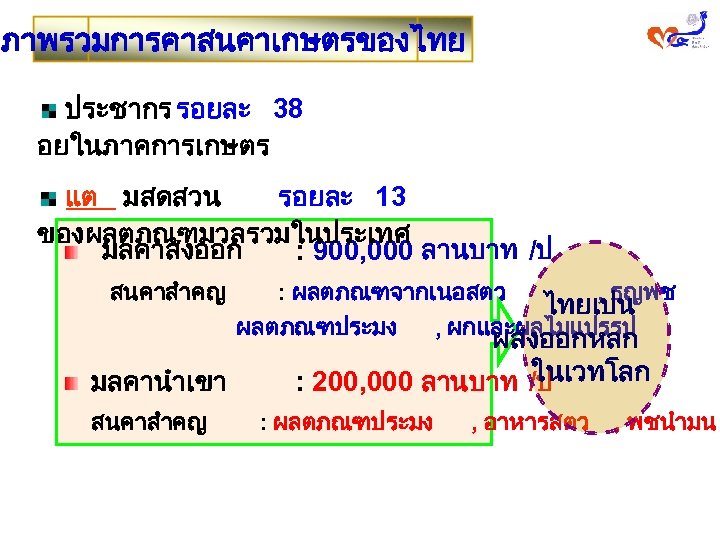 ภาพรวมการคาสนคาเกษตรของไทย ประชากร รอยละ 38 อยในภาคการเกษตร แต มสดสวน รอยละ 13 ของผลตภณฑมวลรวมในประเทศ มลคาสงออก : 900, 000