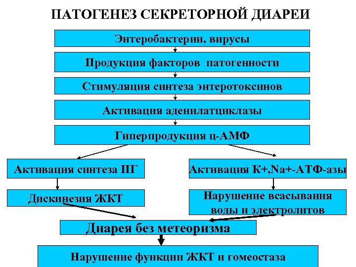 ПАТОГЕНЕЗ СЕКРЕТОРНОЙ ДИАРЕИ Энтеробактерии, вирусы Продукция факторов патогенности Стимуляция синтеза энтеротоксинов Активация аденилатциклазы Гиперпродукция