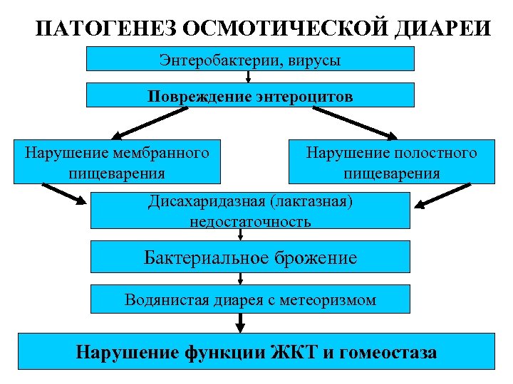 ПАТОГЕНЕЗ ОСМОТИЧЕСКОЙ ДИАРЕИ Энтеробактерии, вирусы Повреждение энтероцитов Нарушение мембранного пищеварения Нарушение полостного пищеварения Дисахаридазная