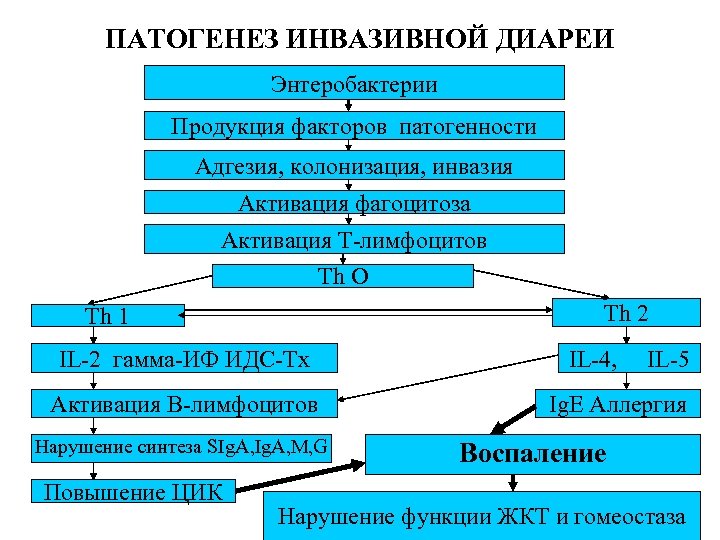 ПАТОГЕНЕЗ ИНВАЗИВНОЙ ДИАРЕИ Энтеробактерии Продукция факторов патогенности Адгезия, колонизация, инвазия Активация фагоцитоза Активация Т-лимфоцитов