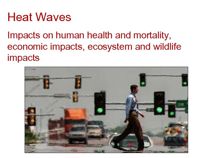 Heat Waves Impacts on human health and mortality, economic impacts, ecosystem and wildlife impacts