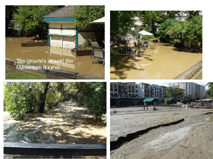 The grounds around the Millennium flooded 