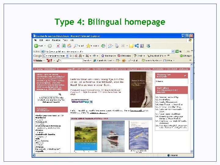 Type 4: Bilingual homepage 