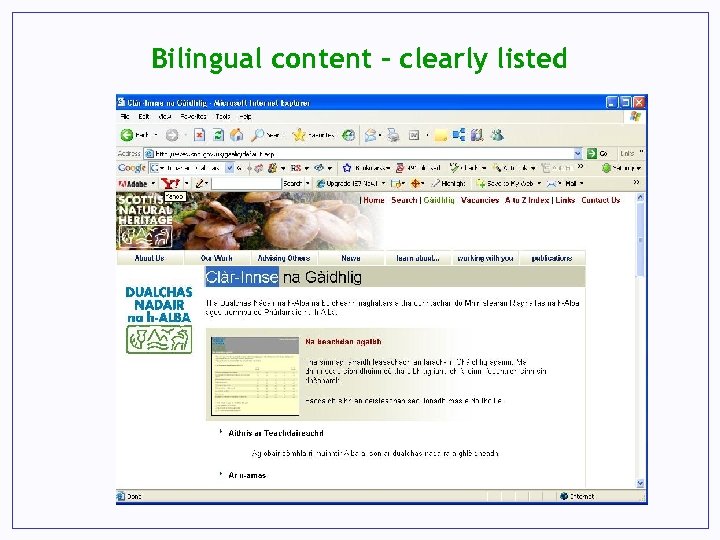 Bilingual content – clearly listed 