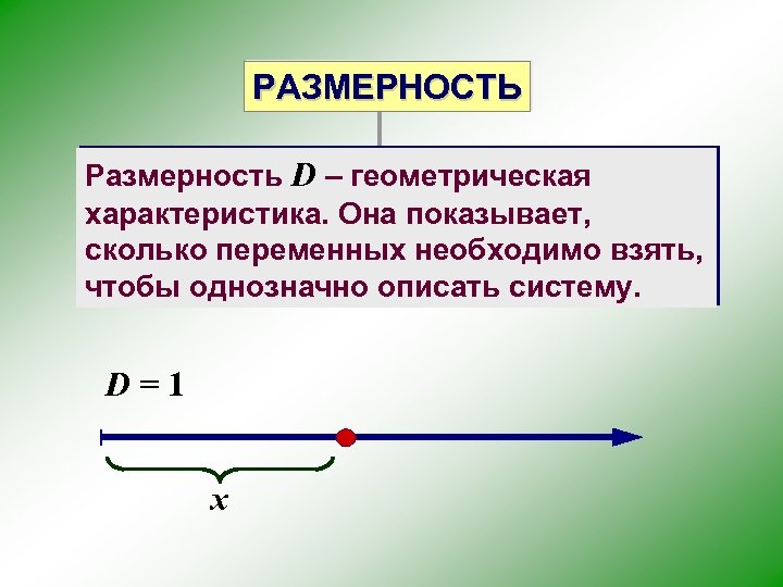 РАЗМЕРНОСТЬ Размерность D – геометрическая характеристика. Она показывает, сколько переменных необходимо взять, чтобы однозначно