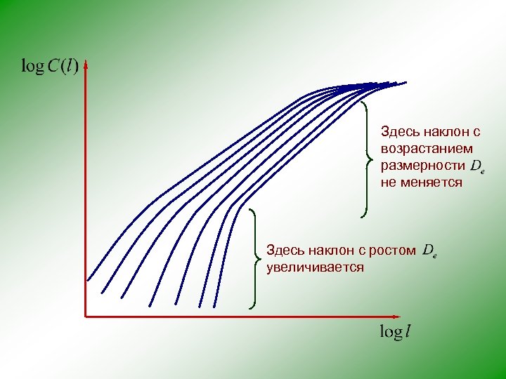 Здесь наклон с возрастанием размерности не меняется Здесь наклон с ростом увеличивается 